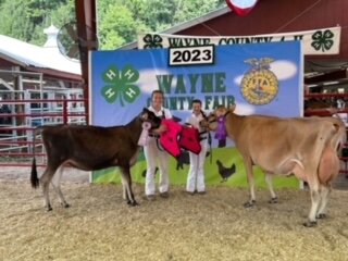 Tri-Gal members Gillian Goldstein, left, and Cora Freidenstine came home with awards from the fair. Cora is a Class A Champion and Gillian is a Class C Champion—both in Dairy Showmanship.